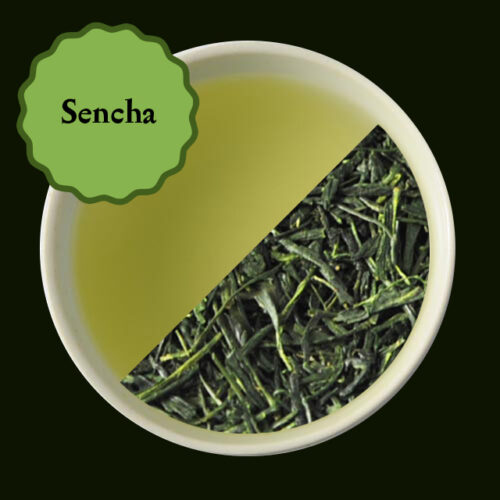 Sencha Kyoto