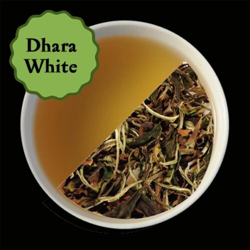 Dhara White