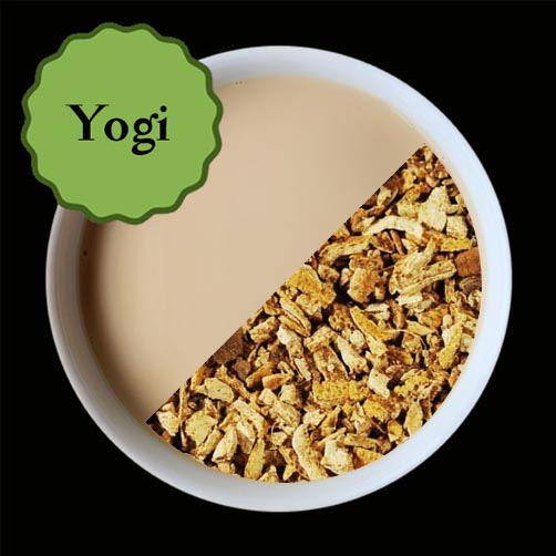 Yogi
